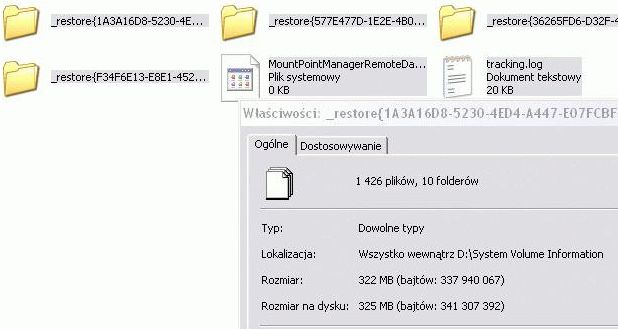 Oczyszczanie Systemu Vista